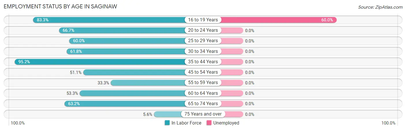 Employment Status by Age in Saginaw