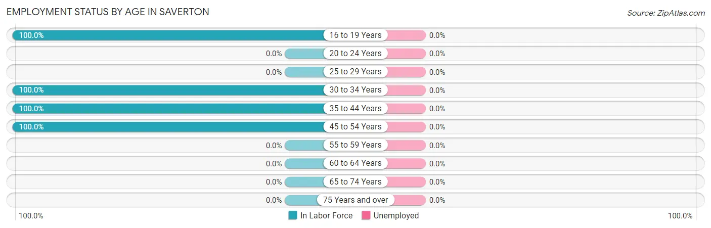 Employment Status by Age in Saverton