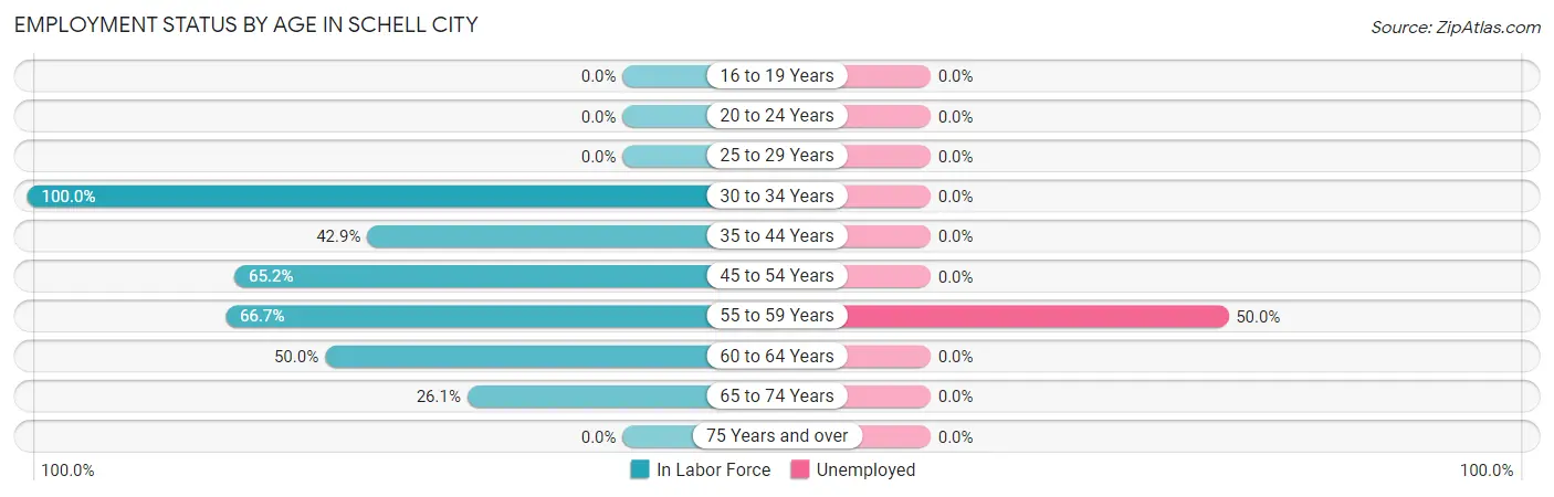 Employment Status by Age in Schell City