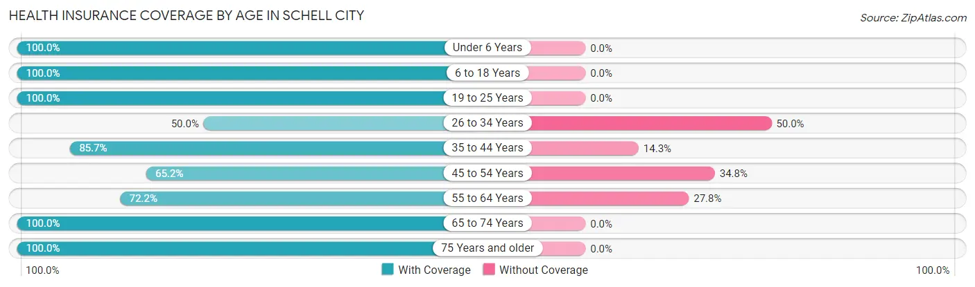 Health Insurance Coverage by Age in Schell City