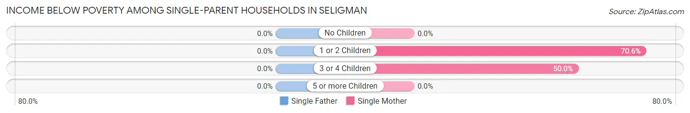 Income Below Poverty Among Single-Parent Households in Seligman