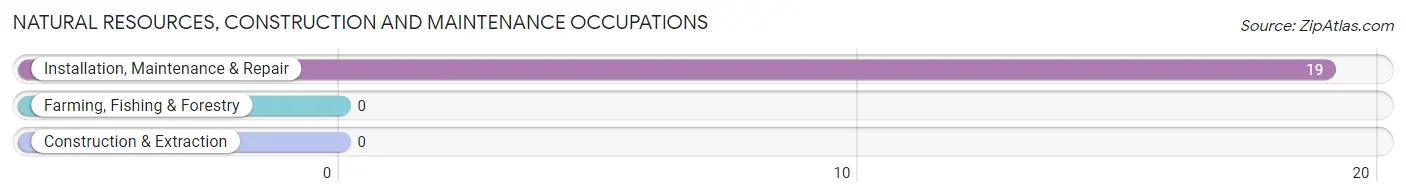 Natural Resources, Construction and Maintenance Occupations in Shakertowne