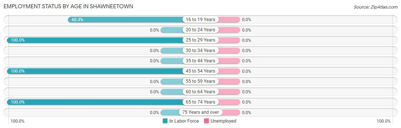 Employment Status by Age in Shawneetown