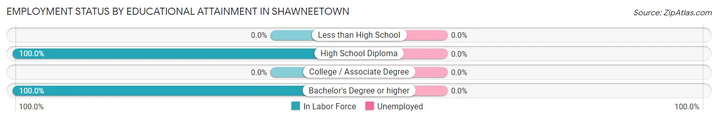 Employment Status by Educational Attainment in Shawneetown