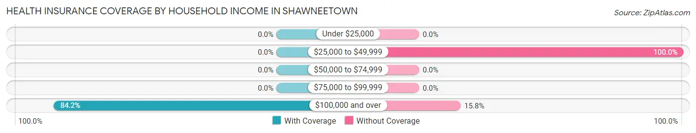 Health Insurance Coverage by Household Income in Shawneetown