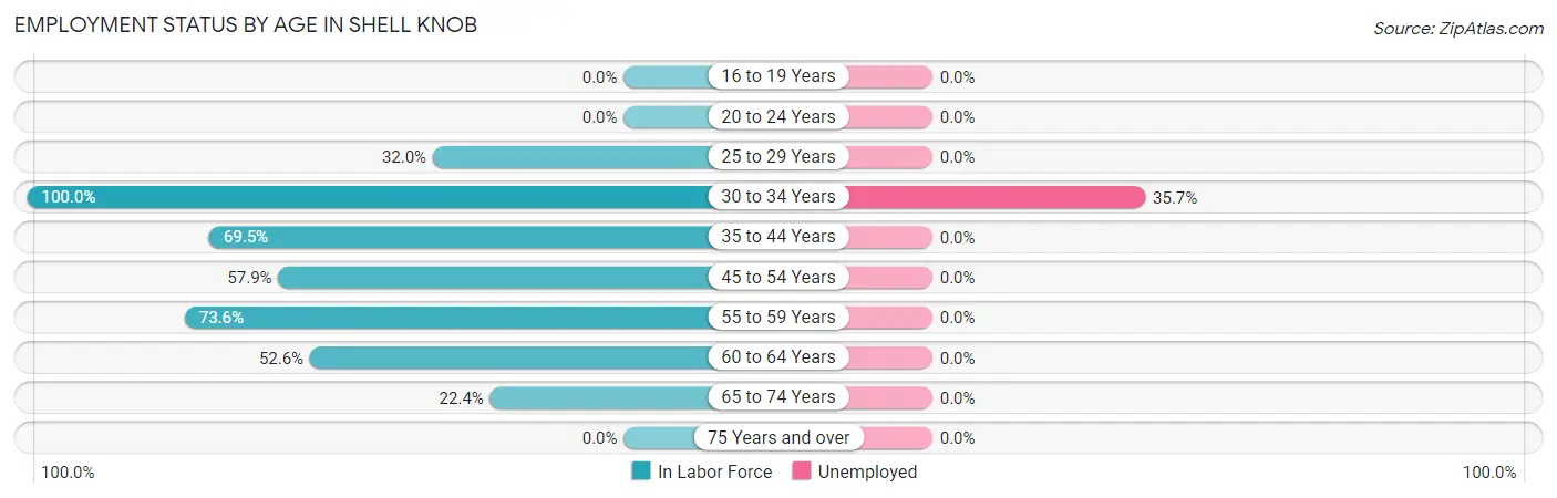 Employment Status by Age in Shell Knob