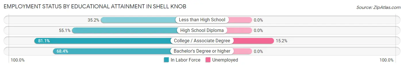 Employment Status by Educational Attainment in Shell Knob