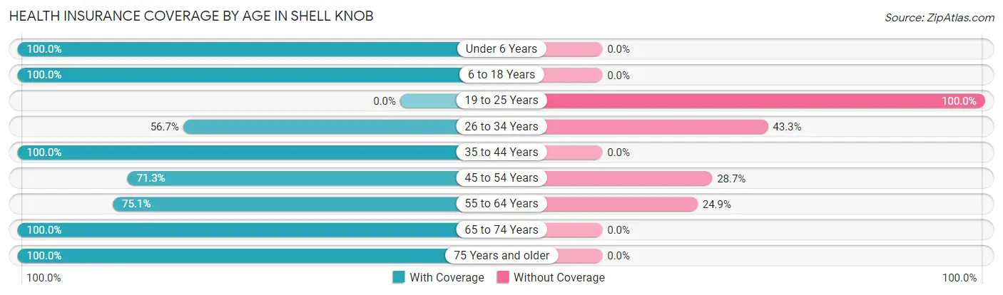 Health Insurance Coverage by Age in Shell Knob
