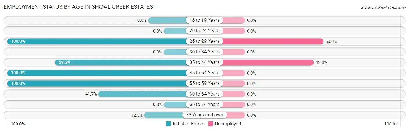 Employment Status by Age in Shoal Creek Estates