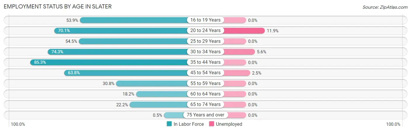 Employment Status by Age in Slater