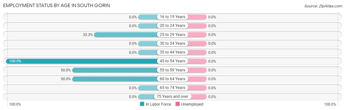 Employment Status by Age in South Gorin