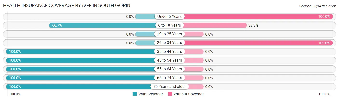 Health Insurance Coverage by Age in South Gorin