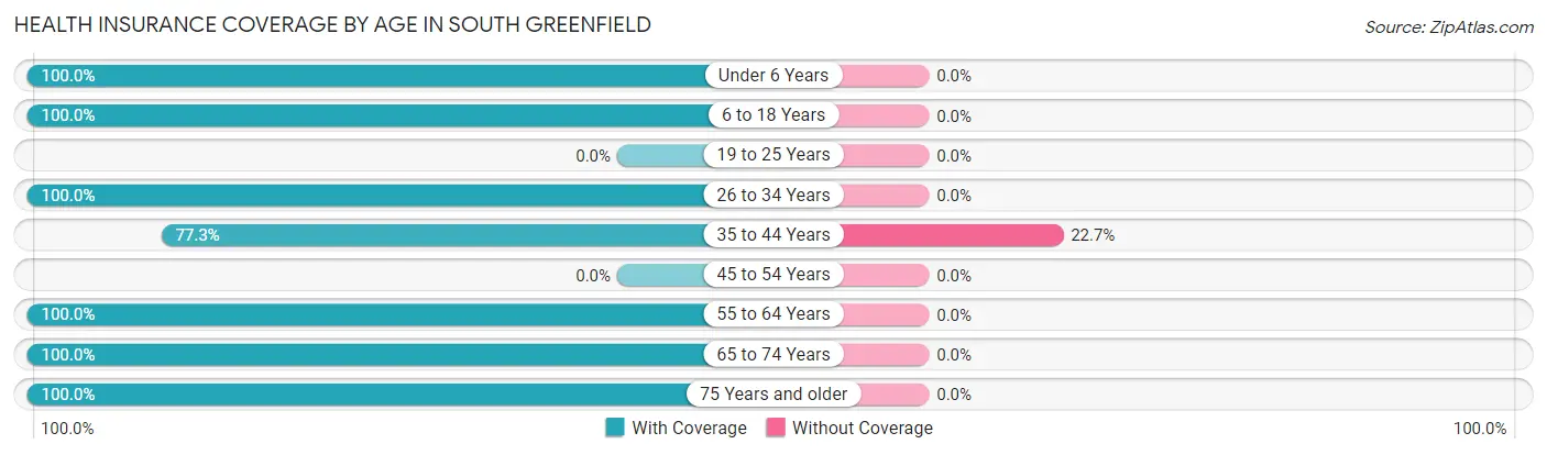 Health Insurance Coverage by Age in South Greenfield