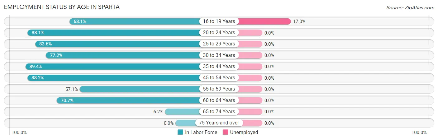 Employment Status by Age in Sparta