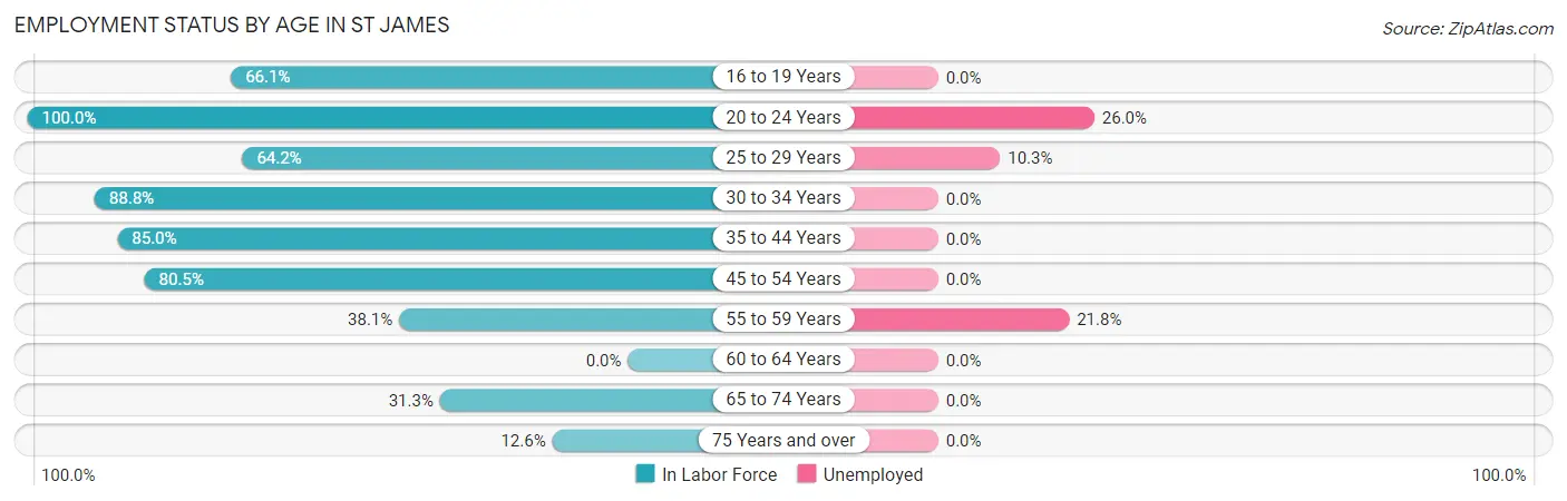 Employment Status by Age in St James