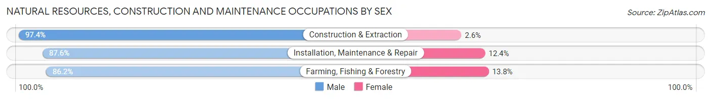 Natural Resources, Construction and Maintenance Occupations by Sex in St Peters