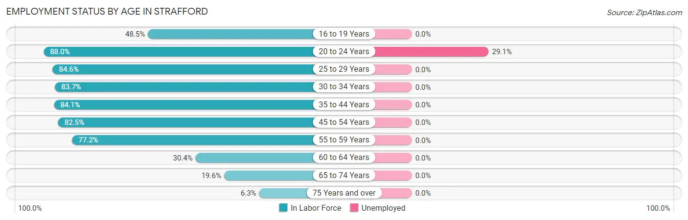 Employment Status by Age in Strafford