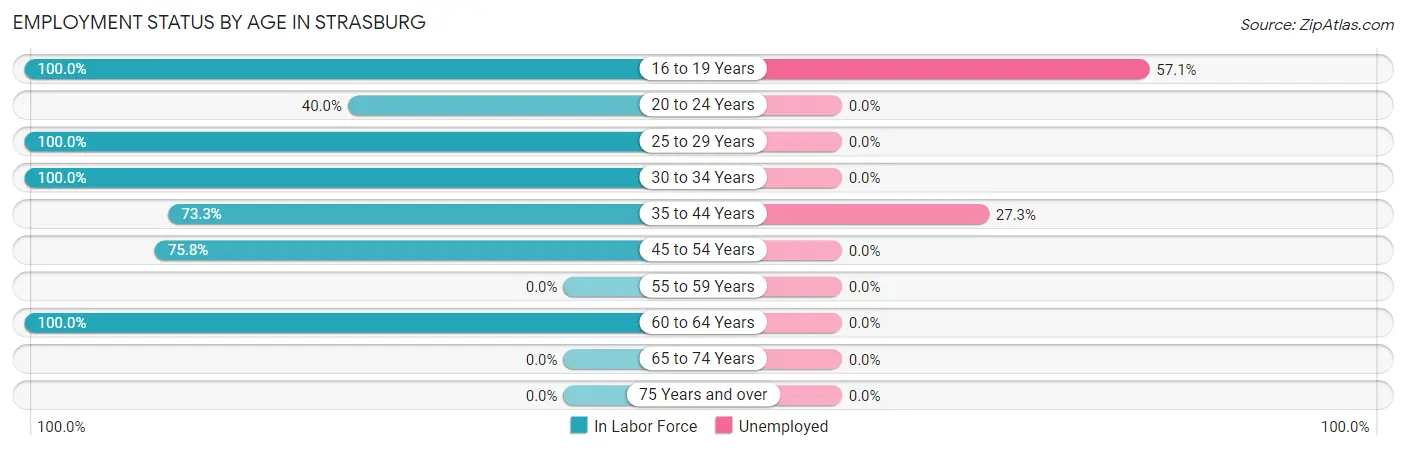 Employment Status by Age in Strasburg