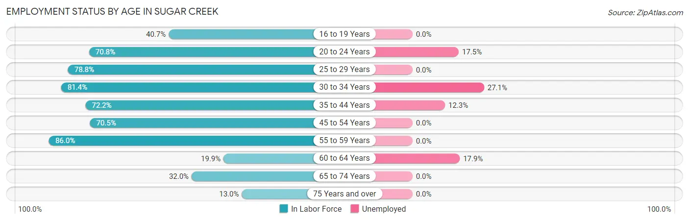 Employment Status by Age in Sugar Creek