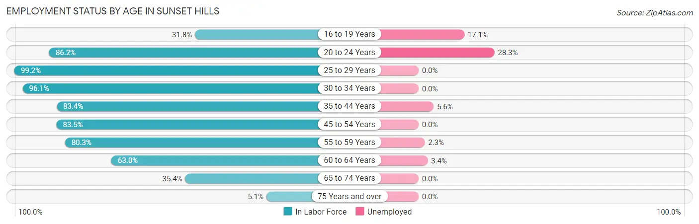Employment Status by Age in Sunset Hills