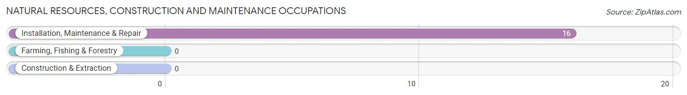 Natural Resources, Construction and Maintenance Occupations in Terre du Lac