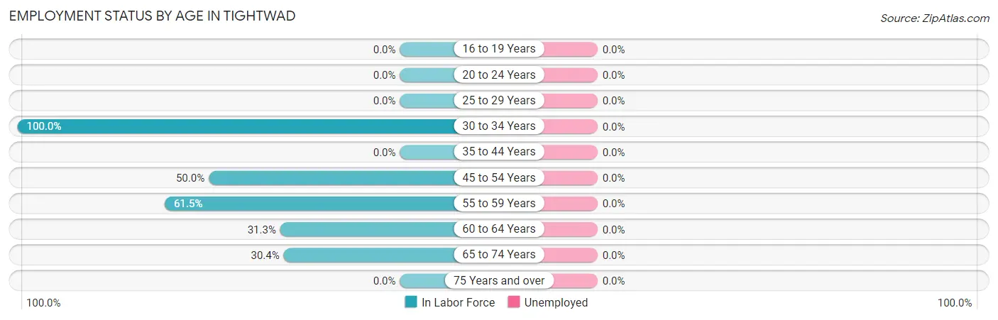 Employment Status by Age in Tightwad