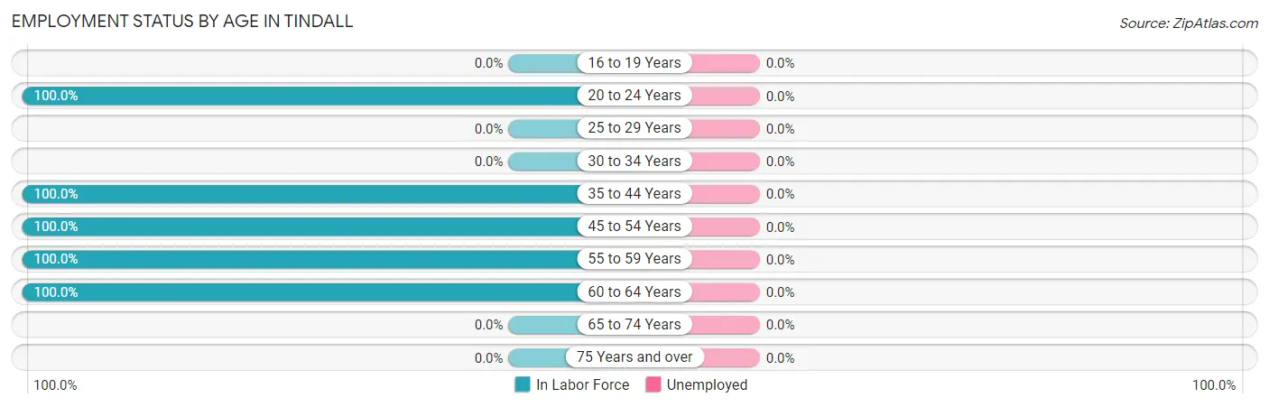 Employment Status by Age in Tindall
