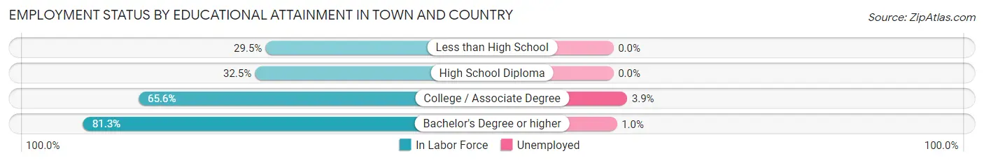 Employment Status by Educational Attainment in Town and Country