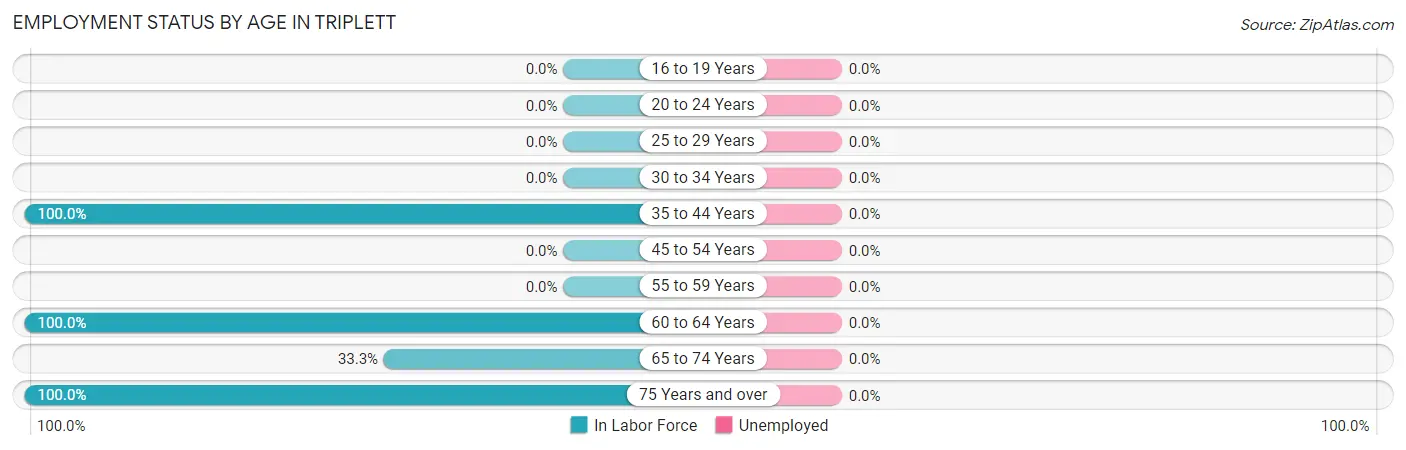 Employment Status by Age in Triplett