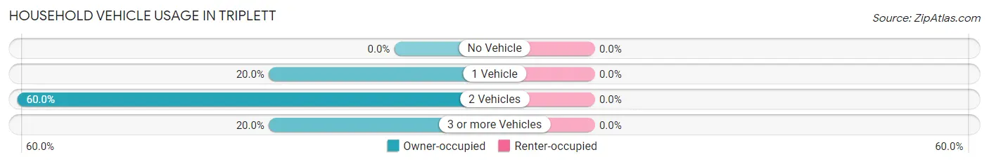 Household Vehicle Usage in Triplett