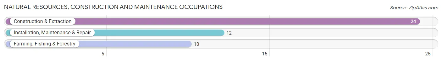 Natural Resources, Construction and Maintenance Occupations in Truesdale