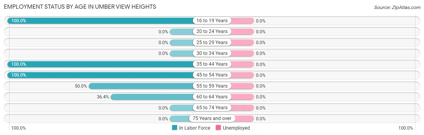 Employment Status by Age in Umber View Heights