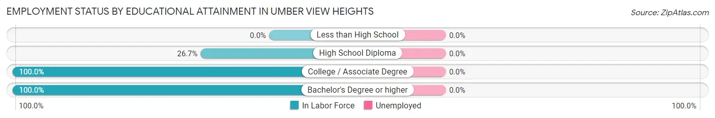 Employment Status by Educational Attainment in Umber View Heights