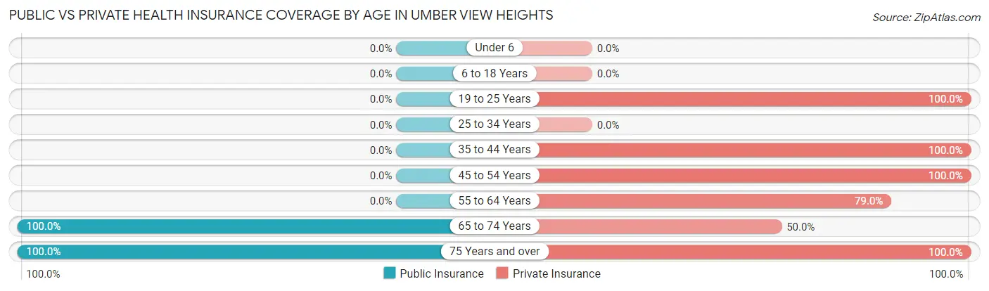 Public vs Private Health Insurance Coverage by Age in Umber View Heights