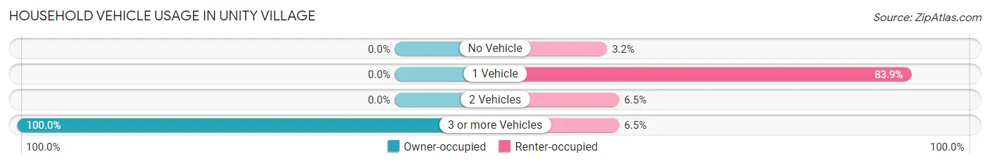 Household Vehicle Usage in Unity Village