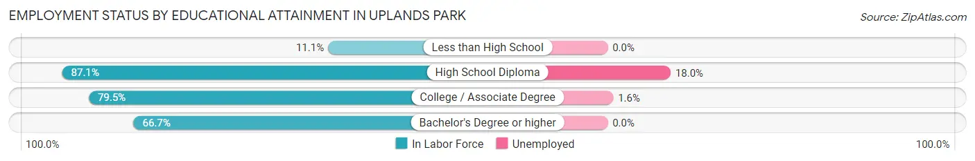 Employment Status by Educational Attainment in Uplands Park