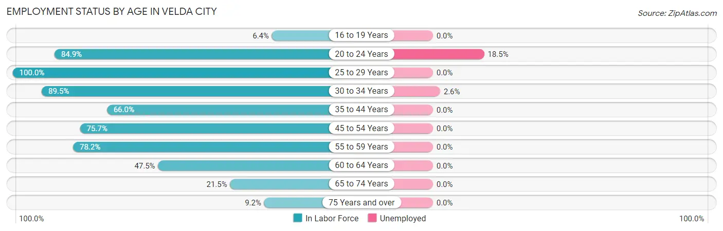 Employment Status by Age in Velda City