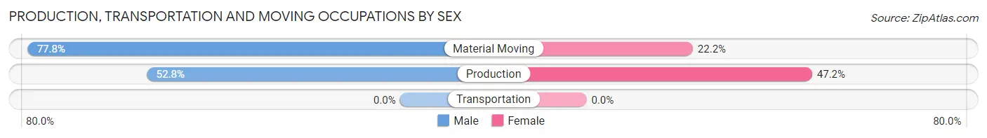 Production, Transportation and Moving Occupations by Sex in Verona