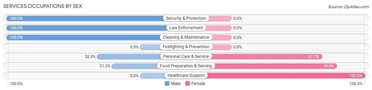 Services Occupations by Sex in Villa Ridge