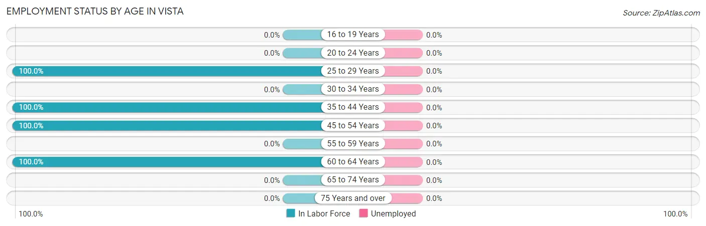 Employment Status by Age in Vista