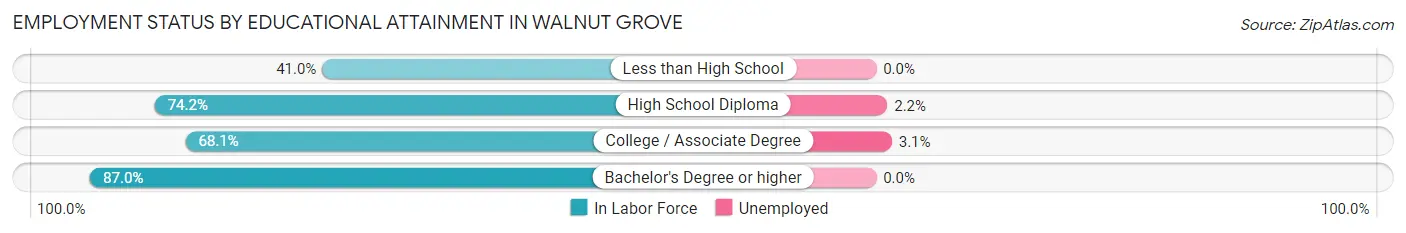 Employment Status by Educational Attainment in Walnut Grove