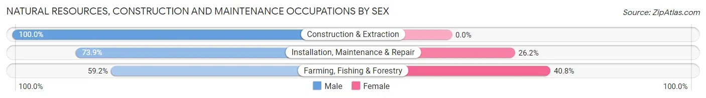 Natural Resources, Construction and Maintenance Occupations by Sex in Warrensburg