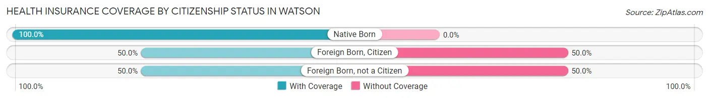 Health Insurance Coverage by Citizenship Status in Watson