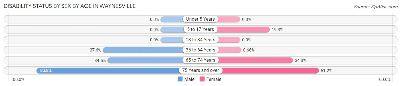 Disability Status by Sex by Age in Waynesville
