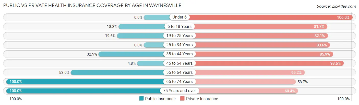 Public vs Private Health Insurance Coverage by Age in Waynesville
