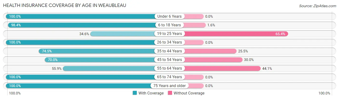 Health Insurance Coverage by Age in Weaubleau
