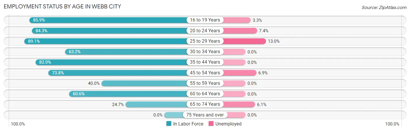 Employment Status by Age in Webb City