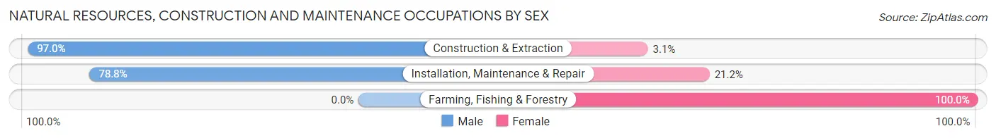 Natural Resources, Construction and Maintenance Occupations by Sex in Webster Groves