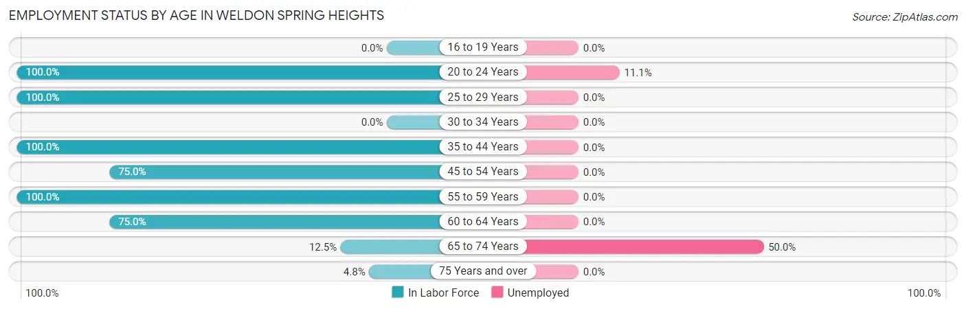 Employment Status by Age in Weldon Spring Heights