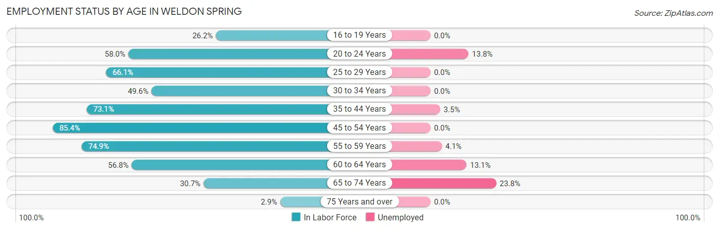 Employment Status by Age in Weldon Spring